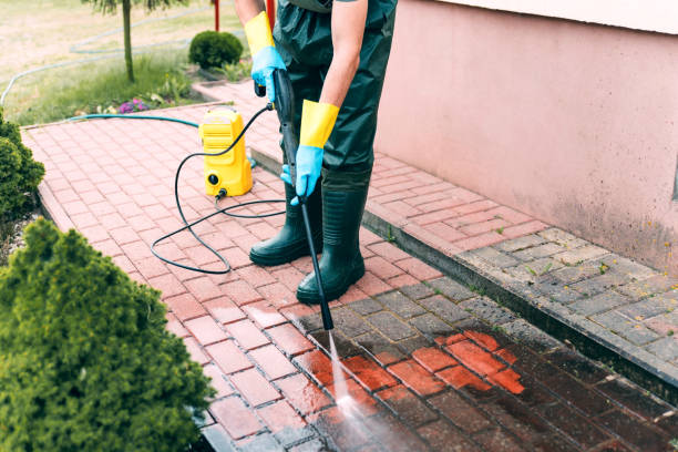 Best Best Pressure Washing Companies  in Blue Grass, IA