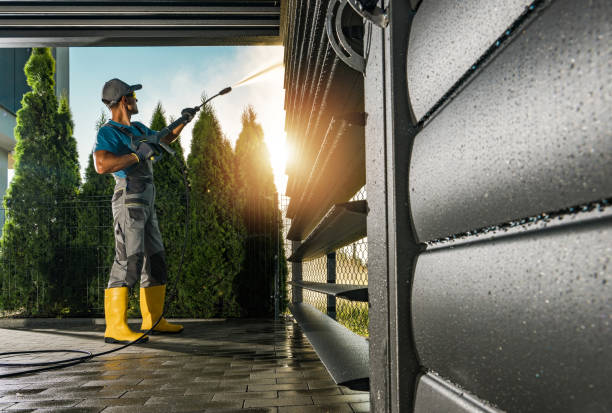 Best Exterior Home Cleaning  in Blue Grass, IA