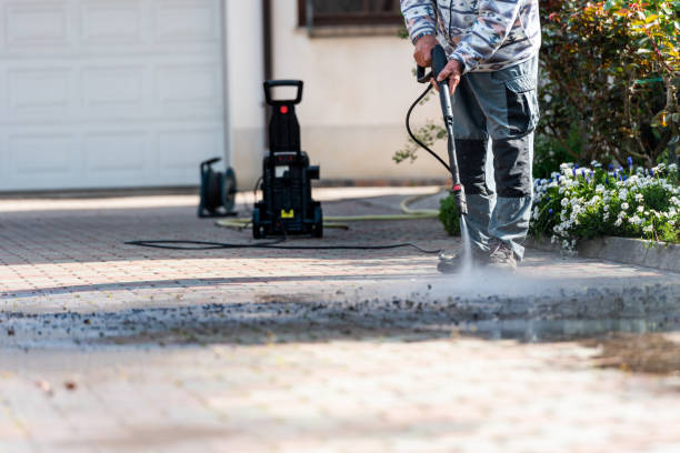 Best Pressure Washing Near Me  in Blue Grass, IA