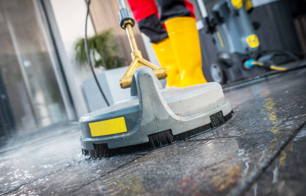 Best Pressure Washing Driveway  in Blue Grass, IA