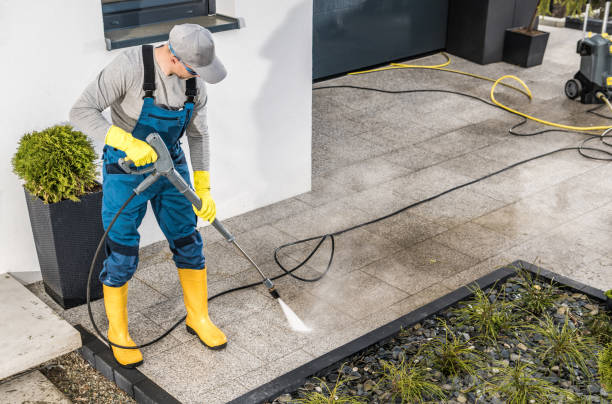 Best Pressure Washing Company Near Me  in Blue Grass, IA
