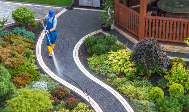 Local Pressure Washing Services in Blue Grass, IA