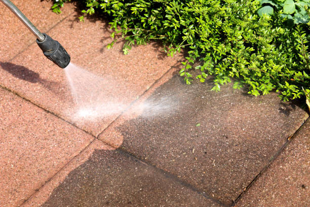 Best Pressure Washing Patio  in Blue Grass, IA