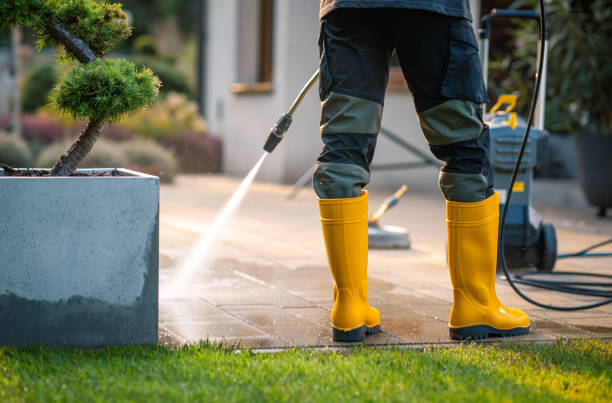 Best Power Washing Near Me  in Blue Grass, IA